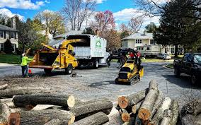 Best Lawn Maintenance Plans  in Combined Locks, WI